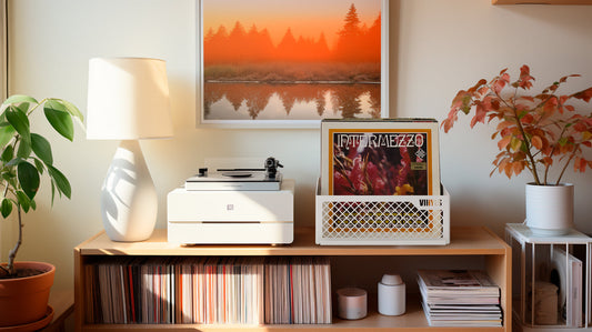 Limpieza casera de vinilos: ¡Fácil y efectiva!