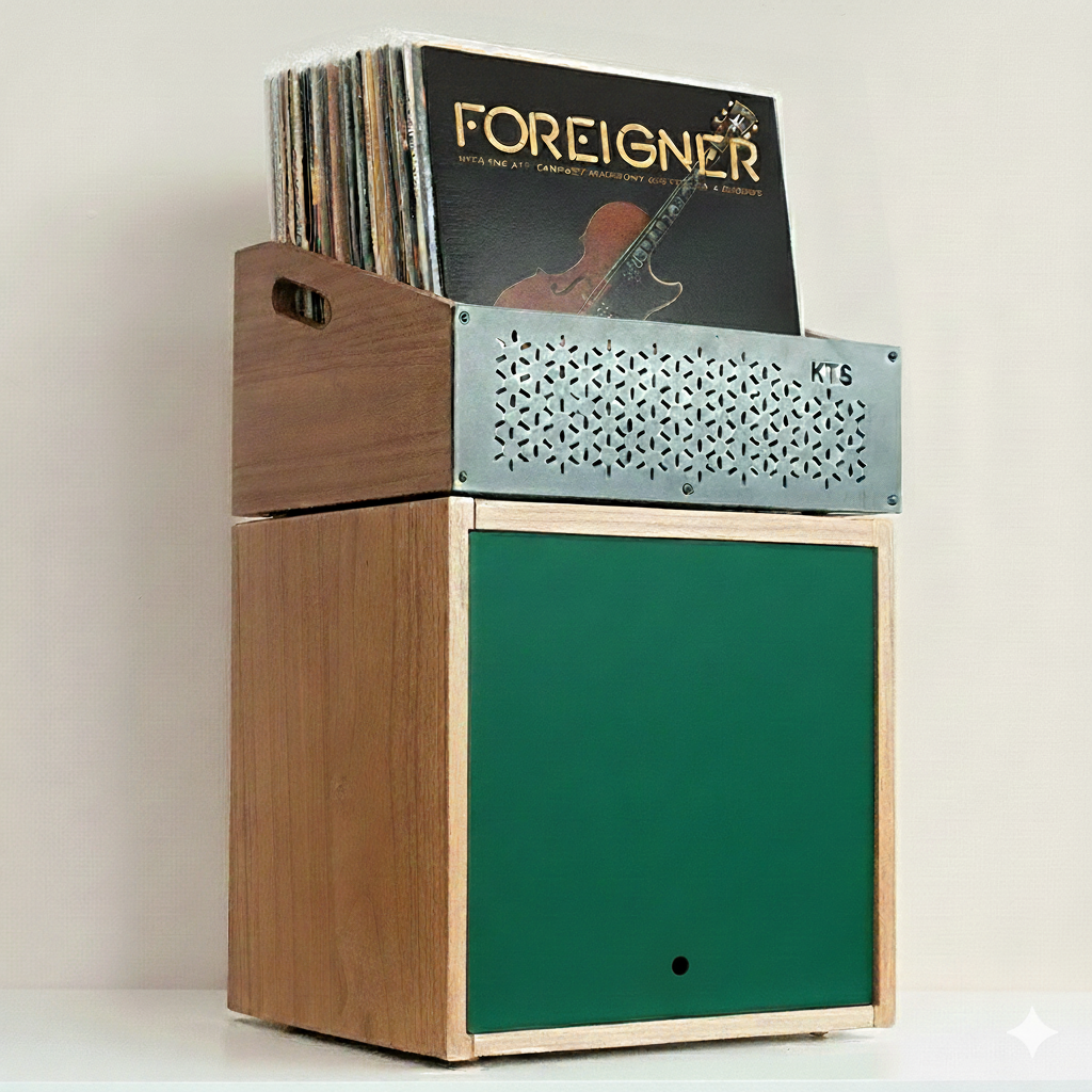 Modular Foreigner – Sistema de almacenamiento para vinilos (120+ LPs)