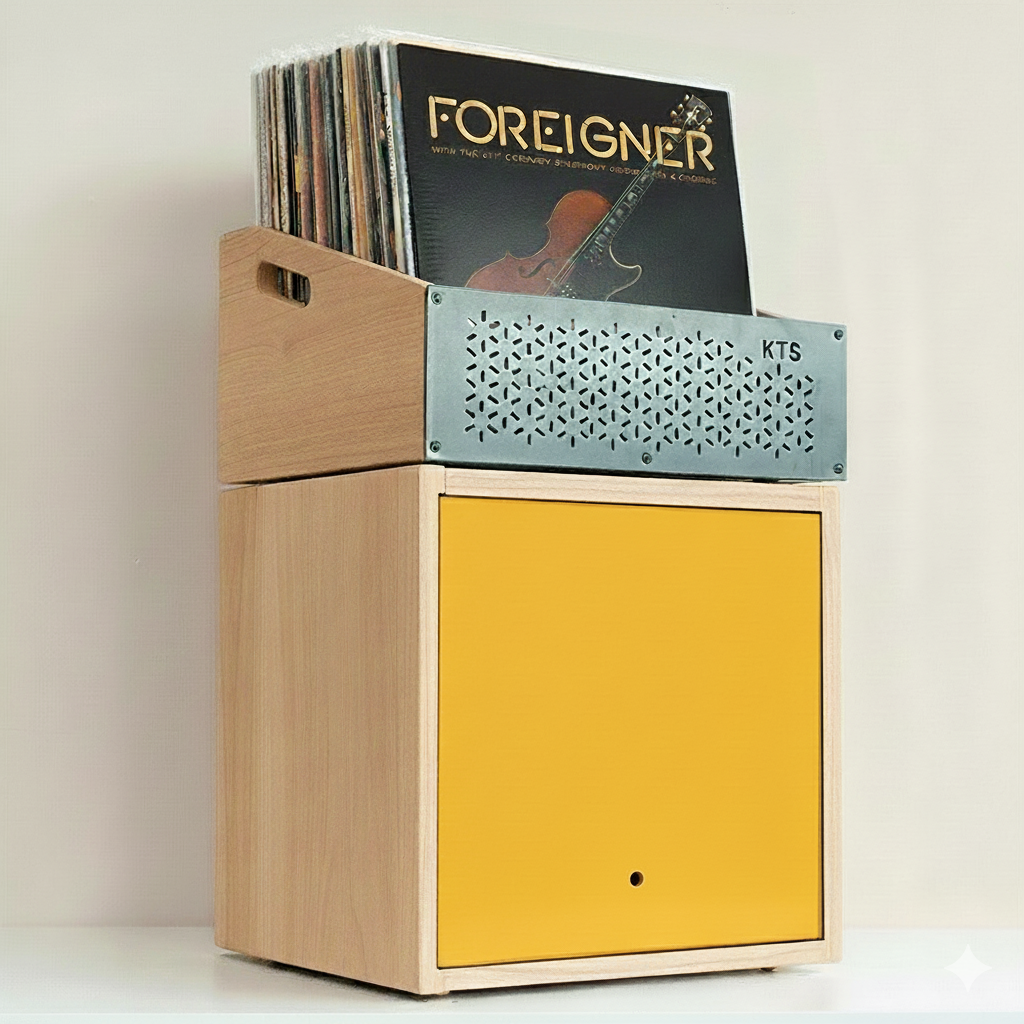 Modular Foreigner – Sistema de almacenamiento para vinilos (120+ LPs)