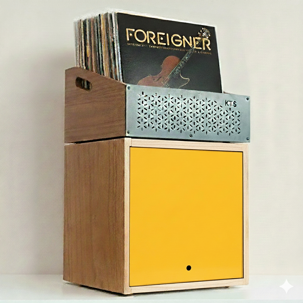 Modular Foreigner – Sistema de almacenamiento para vinilos (120+ LPs)