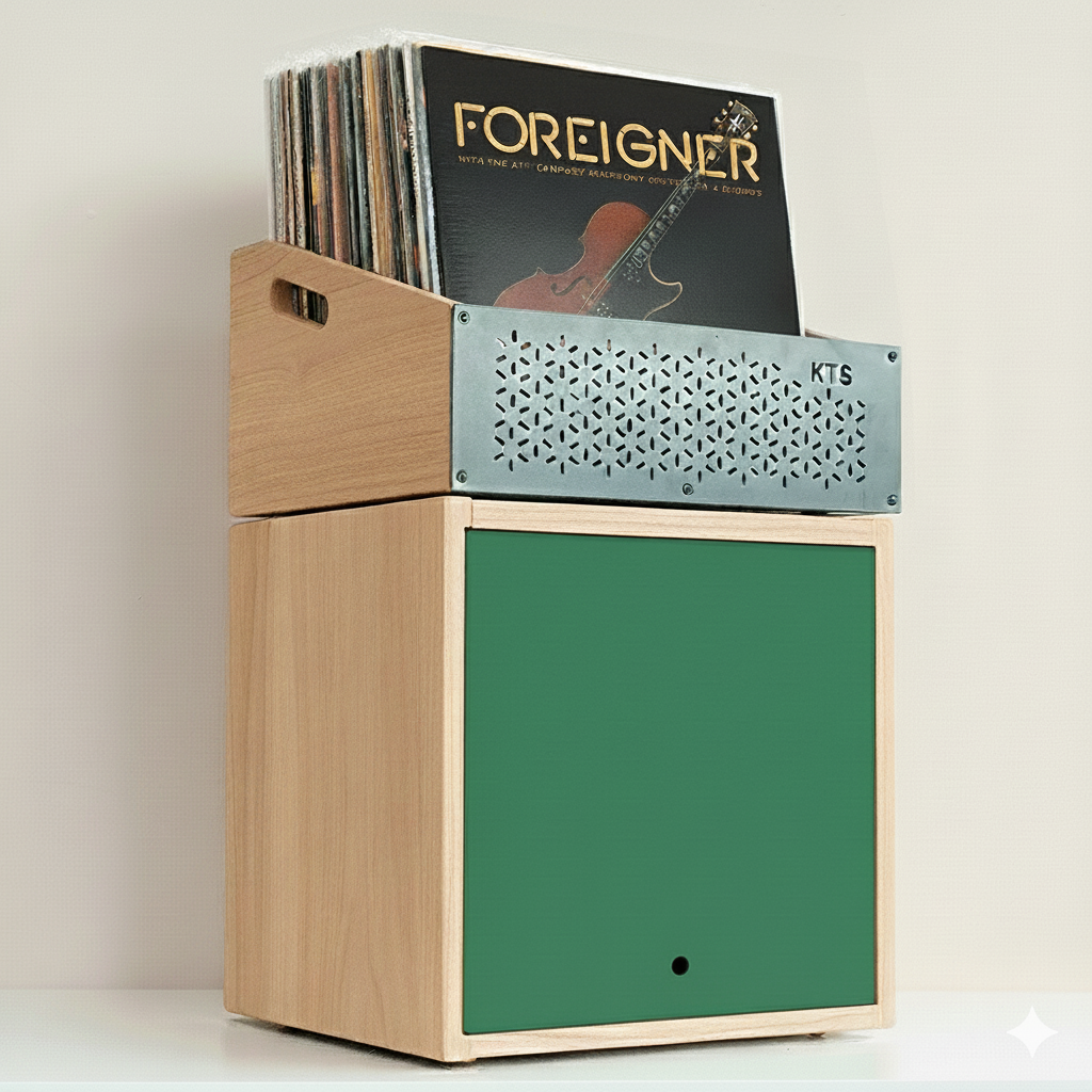Modular Foreigner – Sistema de almacenamiento para vinilos (120+ LPs)