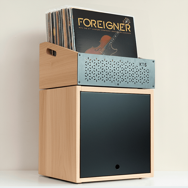 Modular Foreigner – Sistema de almacenamiento para vinilos (120+ LPs)